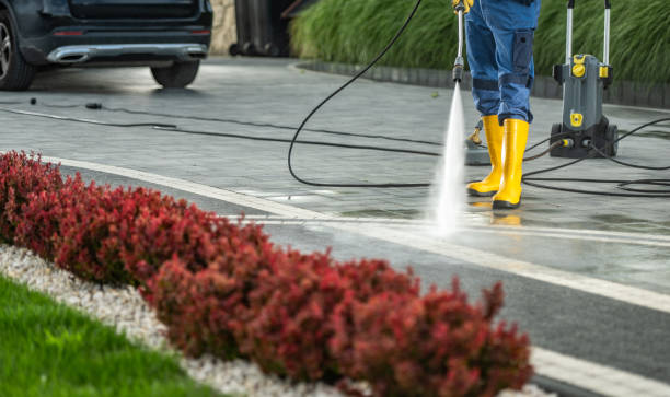 Best Roof Pressure Washing  in Pine Crest, TN